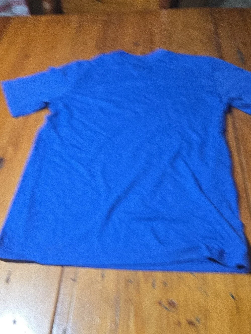 Nwt The North Face Royal Blue Tee with White Logo Sz L